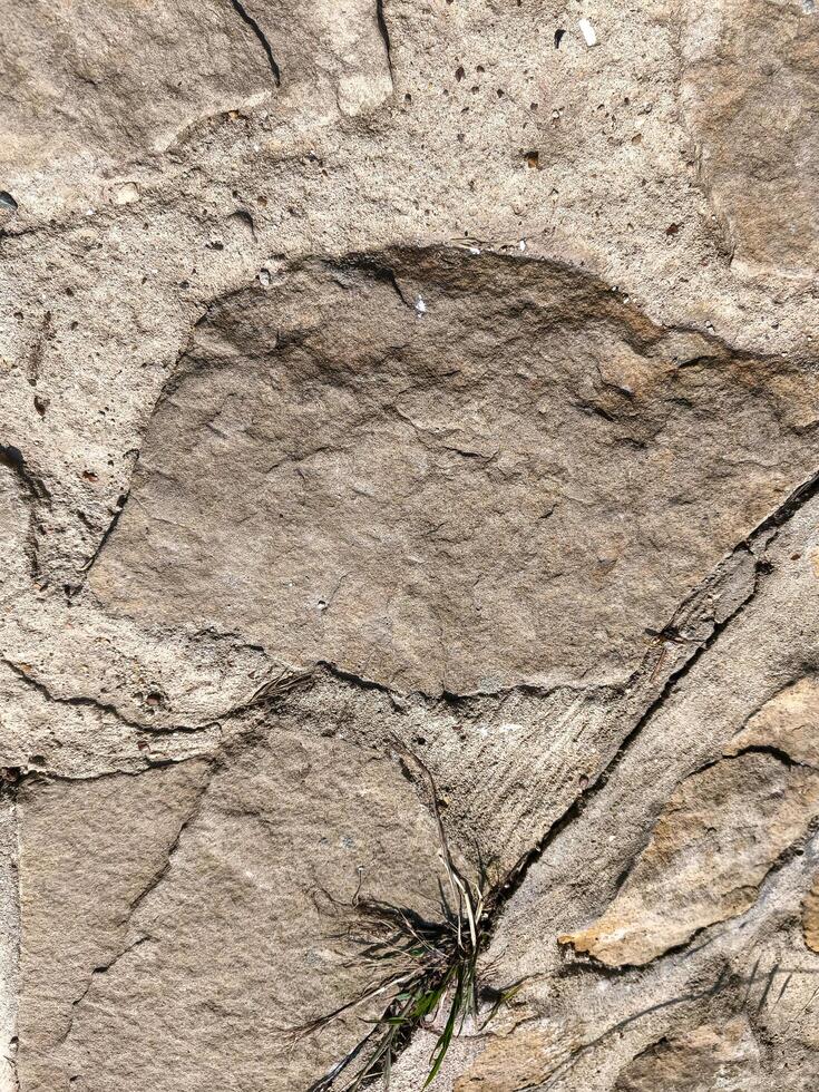 A rock with a hole in it. The rock is grey and has a rough texture photo