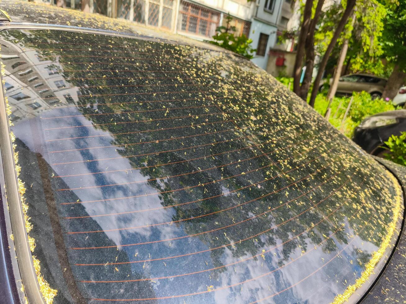 A car's windshield is covered in a layer of dirt and grime. The car is parked in a parking lot with other cars in the background photo