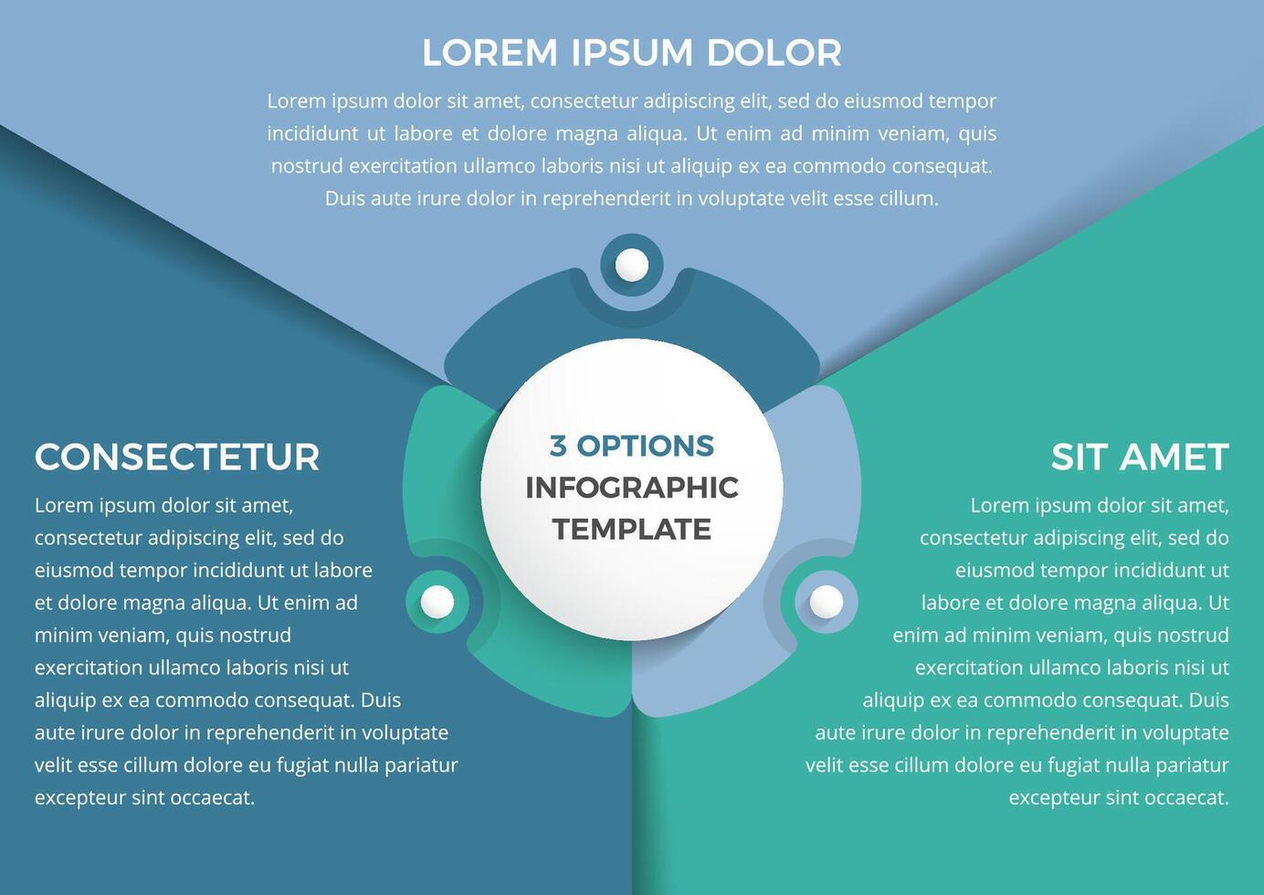 Infographic template with three steps or options, circle diagram vector
