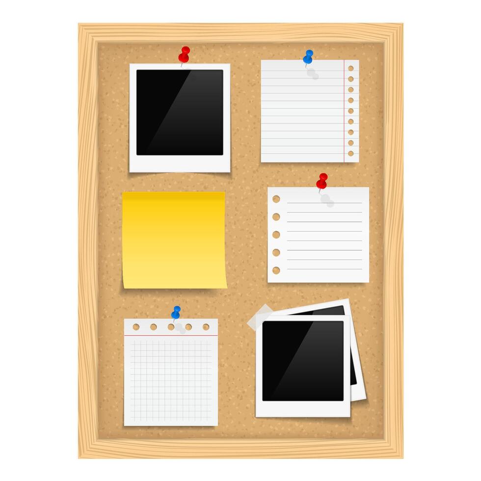 Vertical bulletin board with photo frames and paper notes vector