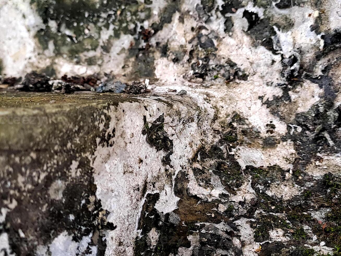 A textured landscape of aging rock, featuring patterns of erosion and delicate growth of greenery. photo