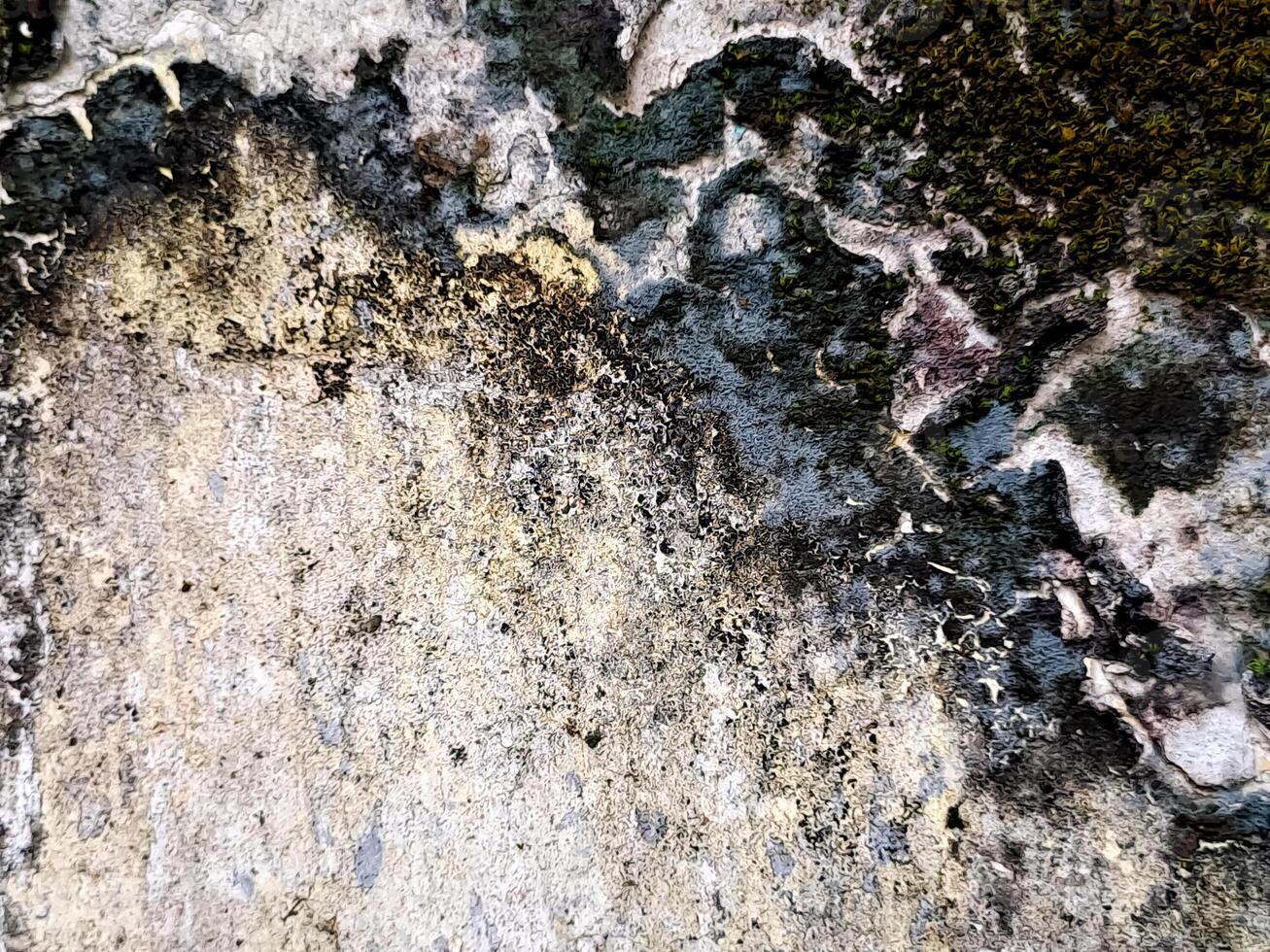 Textured wall abstract showing layered colors of aged stone with moss detail, nature and growth. photo