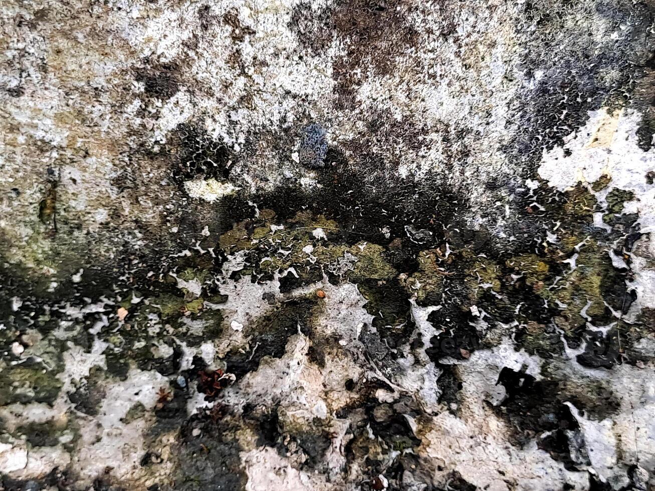 Abstract view of aged concrete with patterns of dark mold and white efflorescence over time. photo