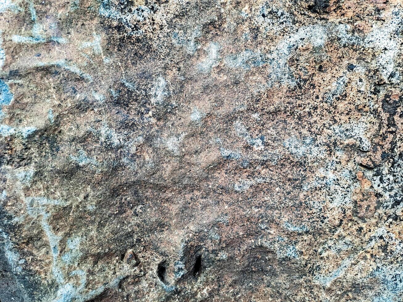 Detailed texture of weathered rock shows intricate patterns, colors, and erosion marks from nature. photo