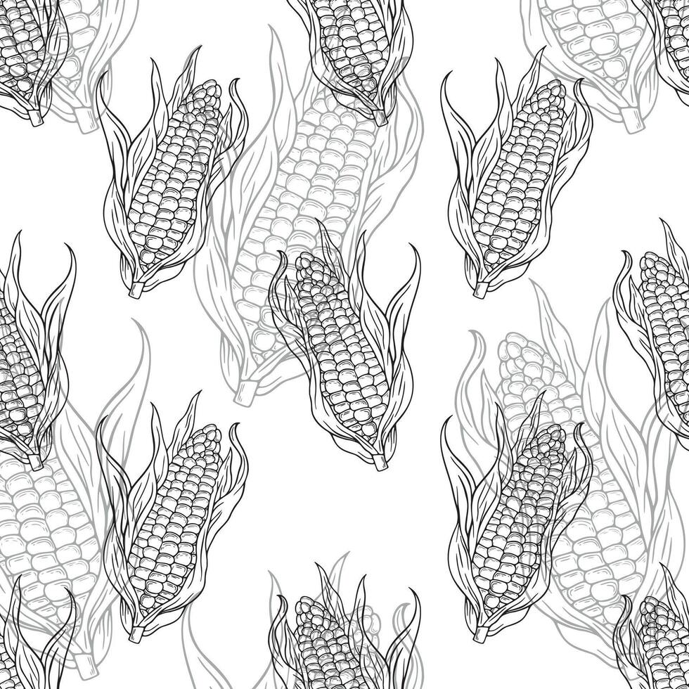 Seamless pattern of corn. Line art. Engraving style vector
