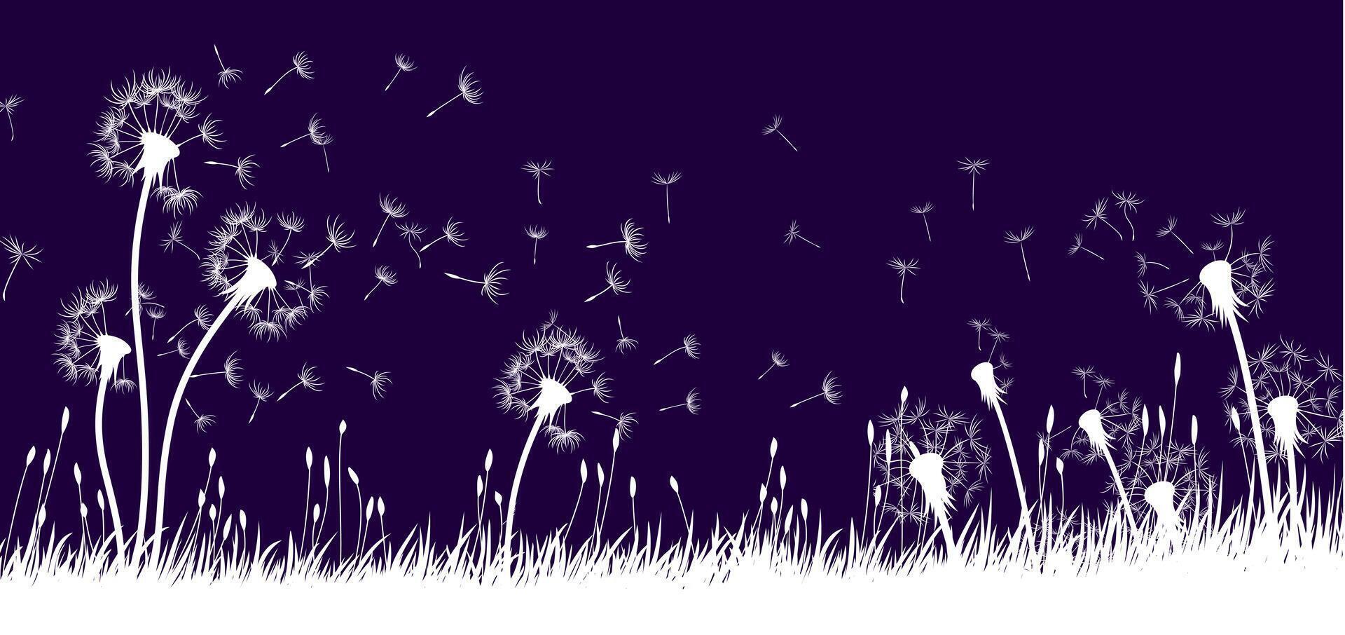 Landscape with field dandelion. vector
