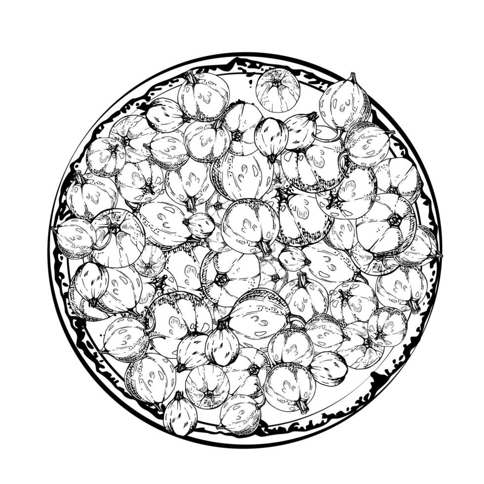 Currant gooseberry on ceramic dish, hand drawn in ink, ripe picked garden berry harvest, casseille jostaberry. Isolated illustration. Food blogs, cookbook, dessert menu, farmers market grocery vector
