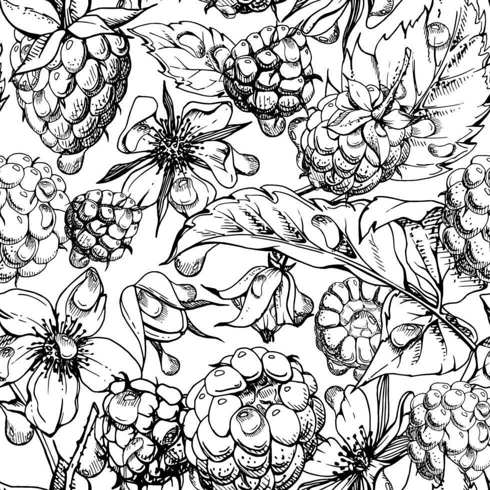 Raspberry ripe garden berries, flowers in water dew drops hand drawn in ink. Seamless isolated pattern tile. Home preserves, textile washi tape, food store decor, packaging, wrapping paper vector
