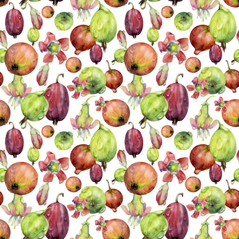 Gooseberry Currant scattered garden berries, flowers in water dew drops. Seamless isolated pattern hand drawn in watercolor. Home preserves, textile tiles, food store decor, recipe book, cafe menu vector
