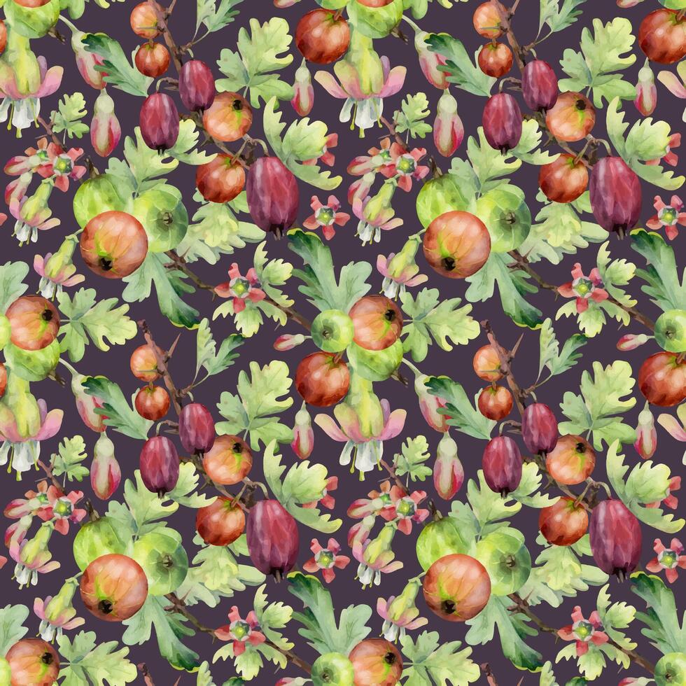 Gooseberry berries flower buds leaves clusters on thorny branch, ripe garden currant. Seamless pattern isolated on dark. Hand drawn in watercolor. Kitchen linens fabric tile, packaging, wrapping paper vector