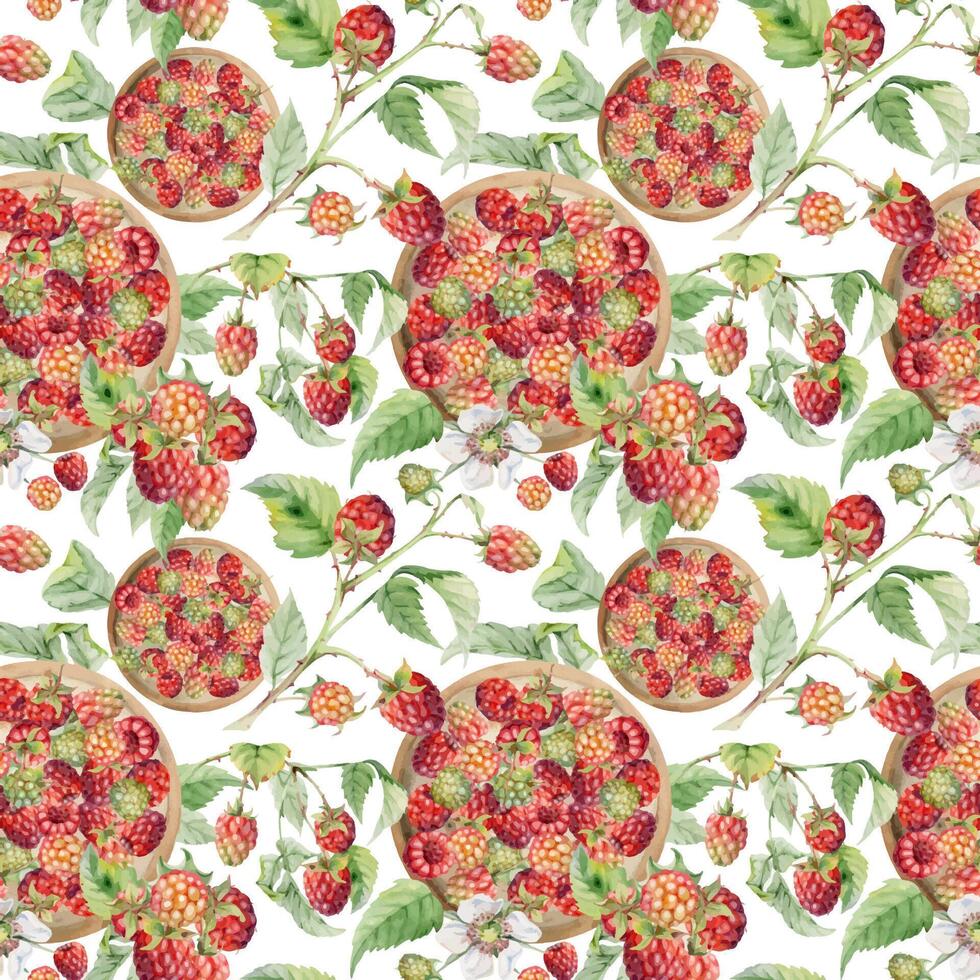 Raspberry mulberry berries, branches leaves served on ceramic dish, ripe picked harvest hand drawn in watercolor. Isolated seamless pattern. Farmers market grocery menu, wrapping paper, food packaging vector