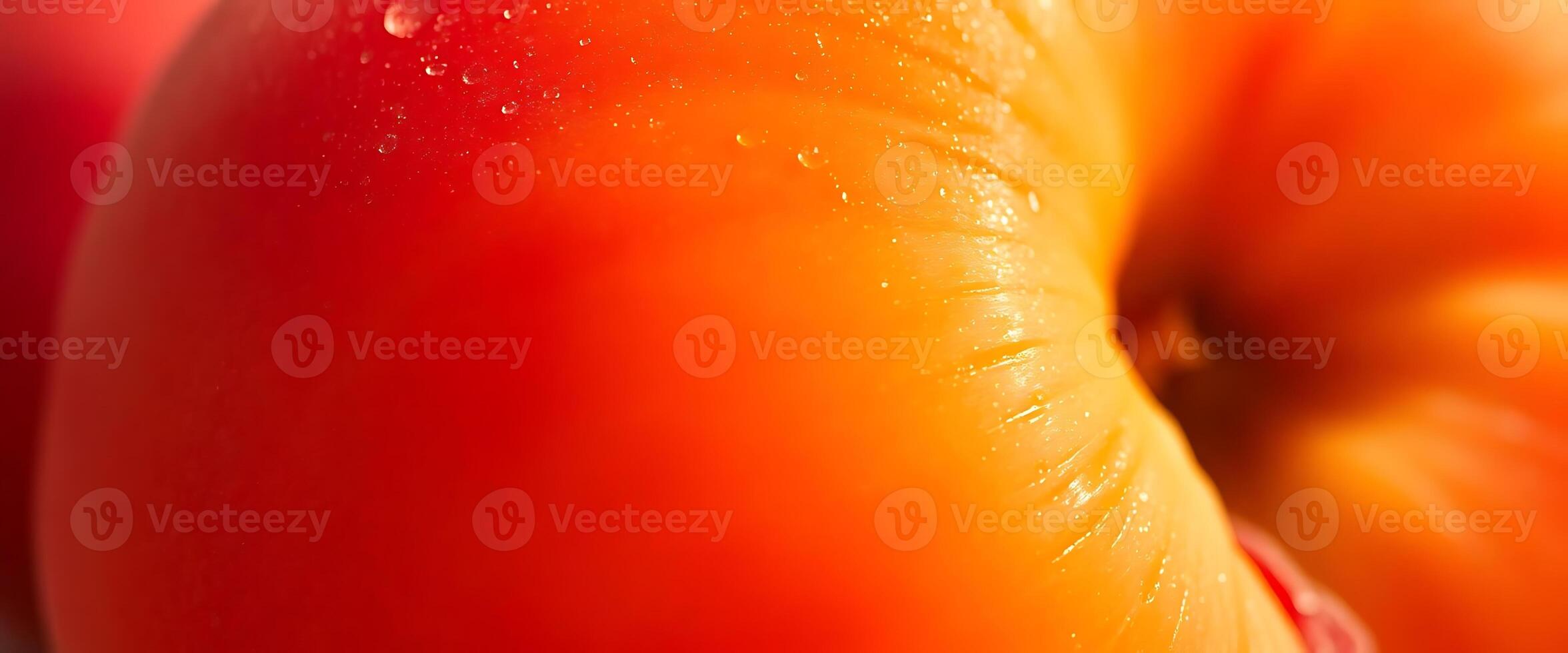 A close up of a tomato with water droplets on it photo