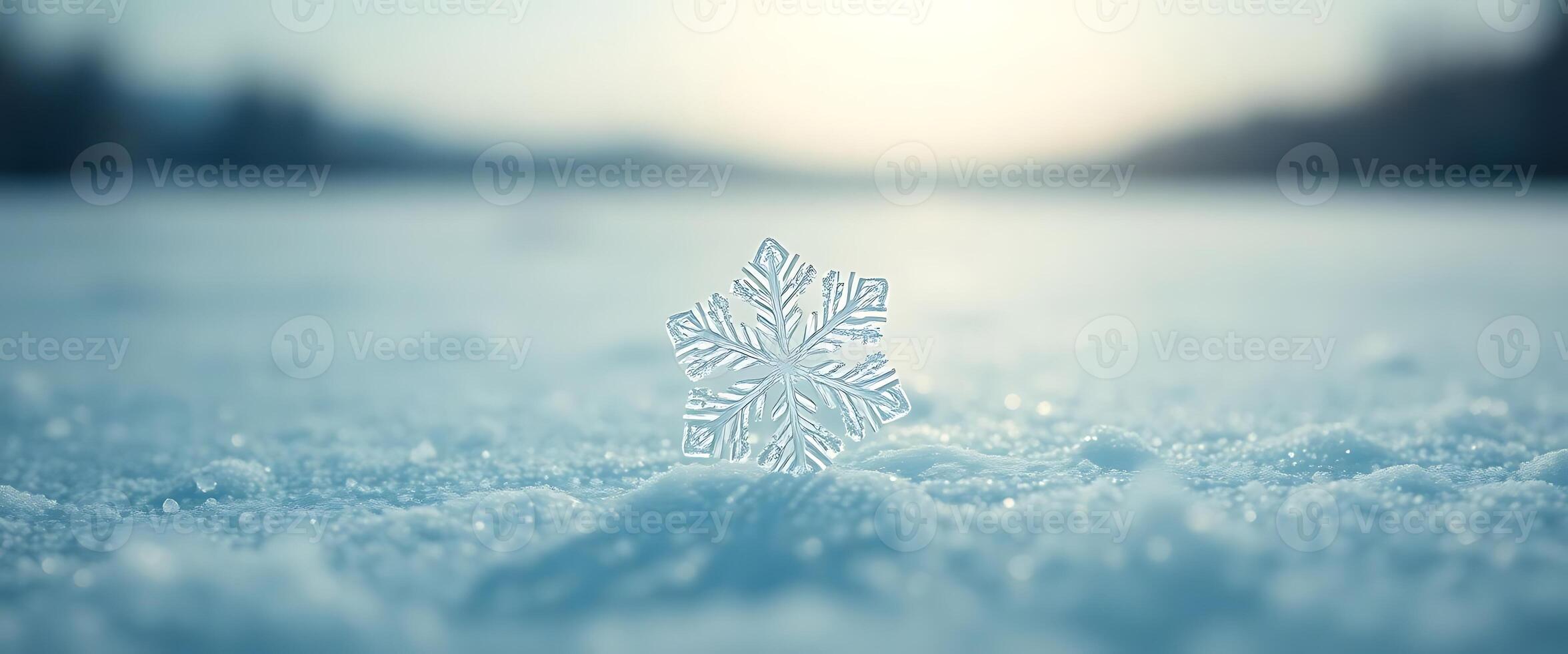 A snowflake is shown in the middle of a field photo