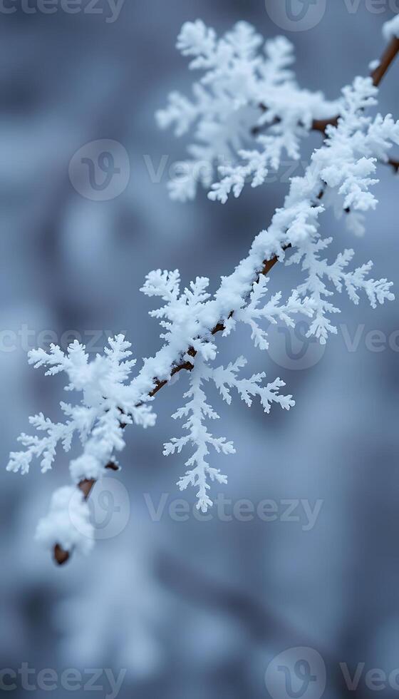 Snowflake, winter, winter, winter, winter, winter, winter, winter, winter photo