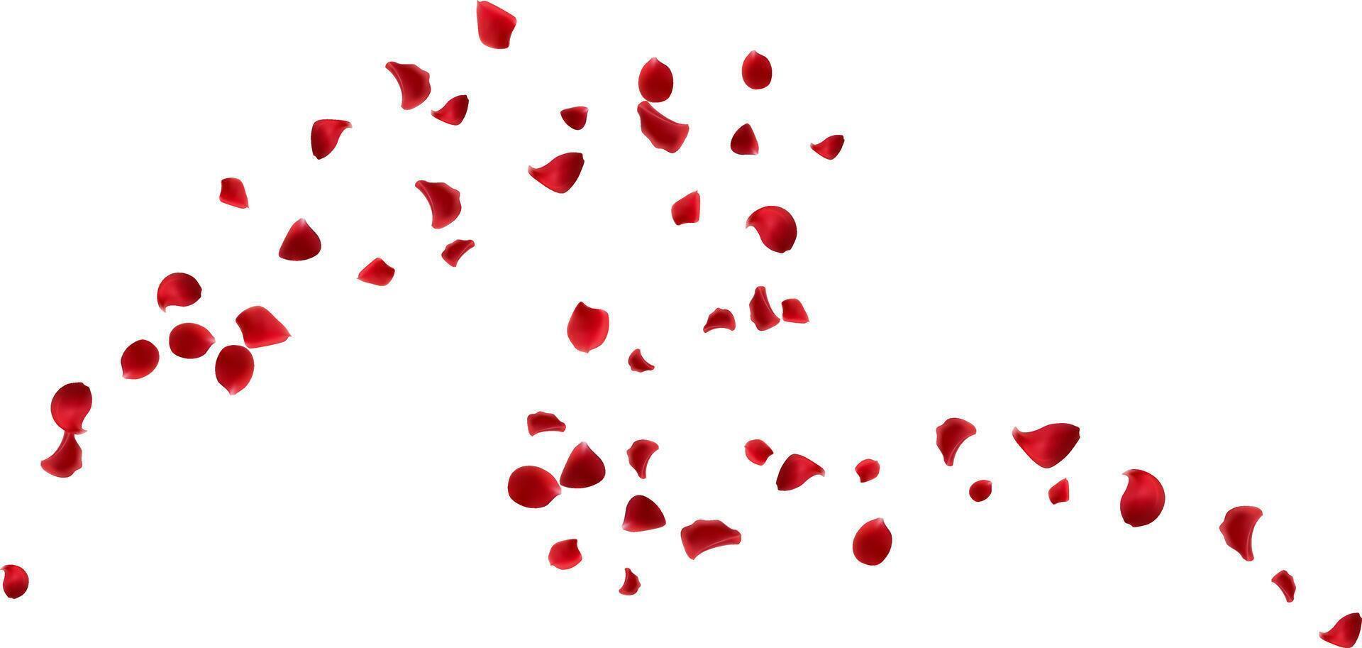 Organic beautiful aroma with red rose petals flying isolated element decorative vector