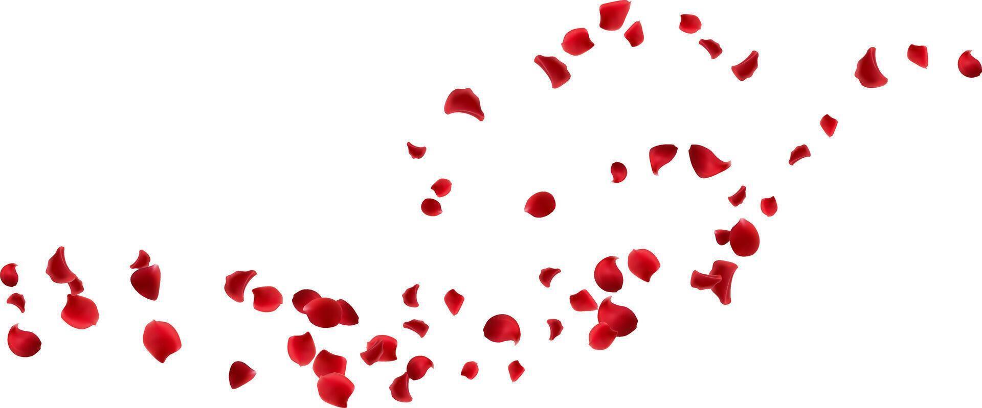Flower floating wind line, rose petals flying isolated. Spa aroma vector