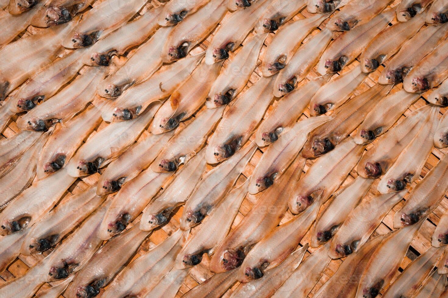 Rows of fish are arranged neatly under sunlight on a mat creates a traditional preservation method. photo