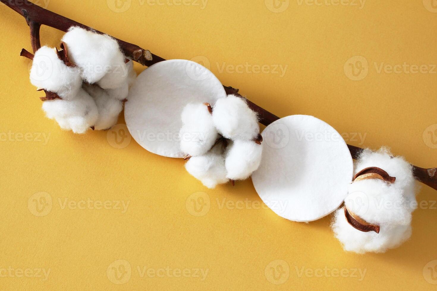 Cotton Branch with Makeup Pads on Yellow Background. Natural Beauty and Skin Care Concept. photo