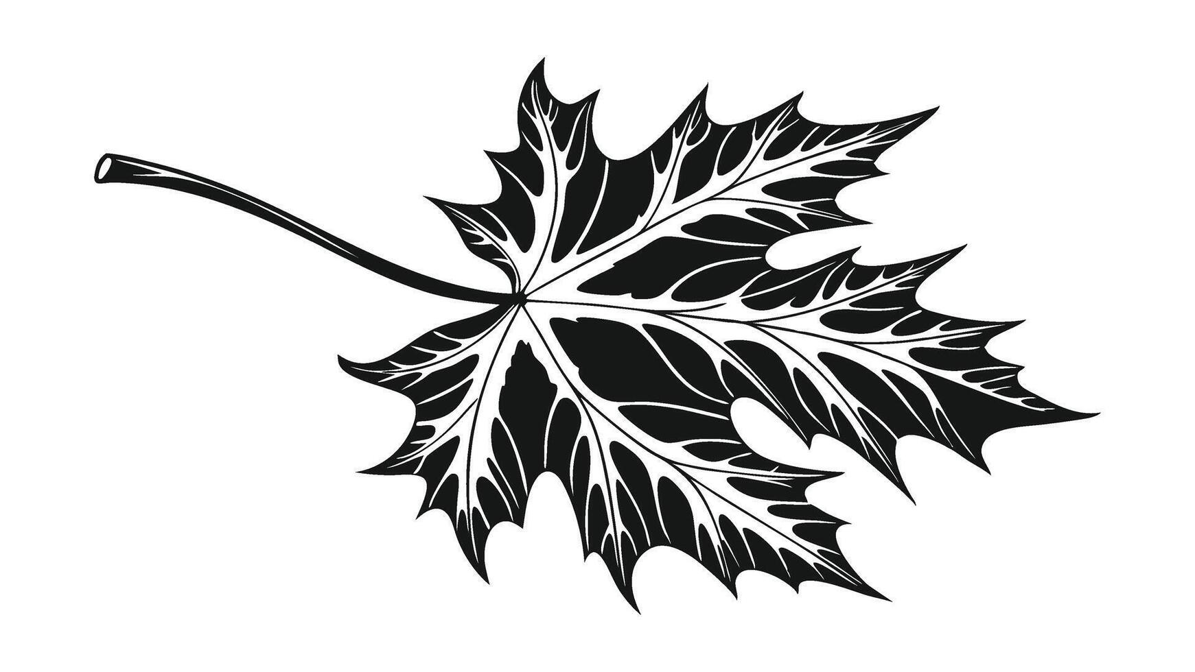 a black and white drawing of a maple leaf vector