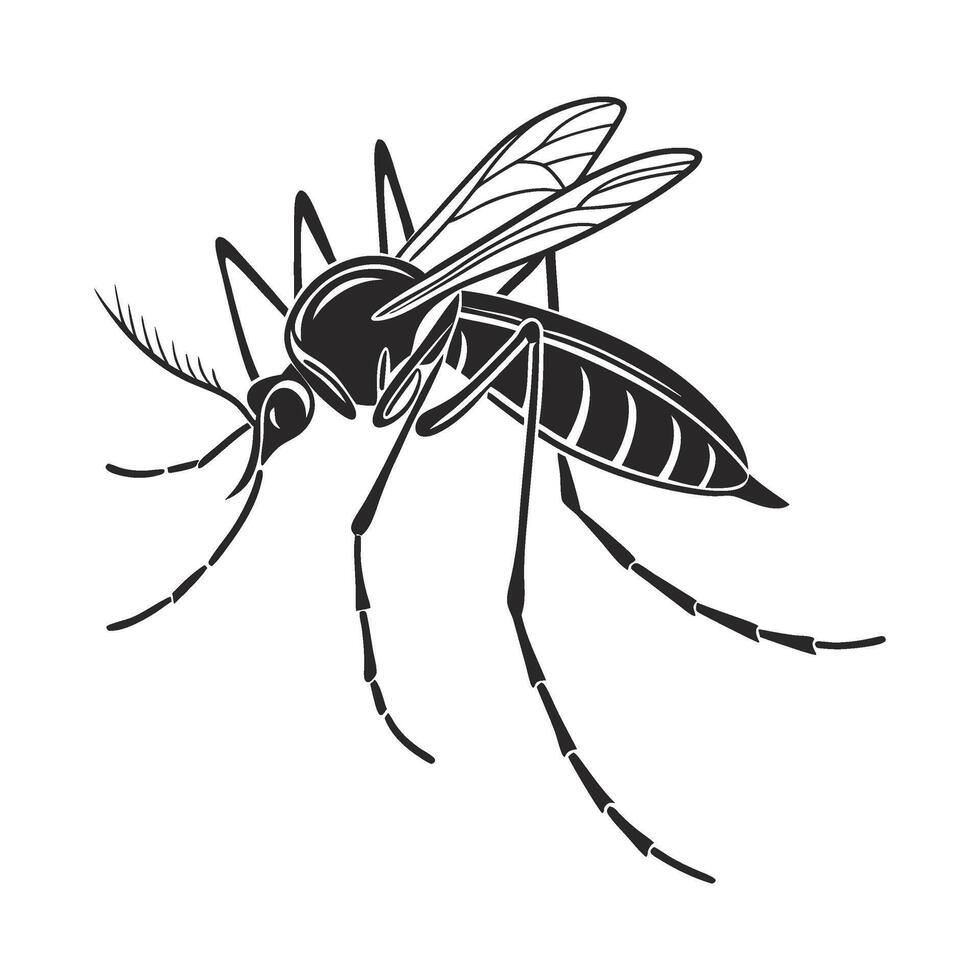 a mosquito with black and white lines on it vector