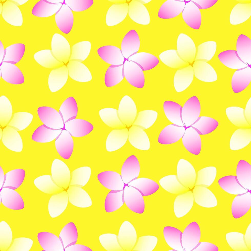 Seamless pattern of white and pink exotic plumeria flowers on a yellow background vector