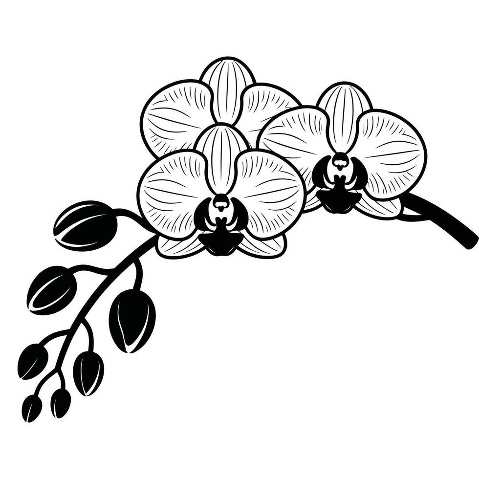 Bold Floral Silhouette of Orchid Branch Artwork. vector