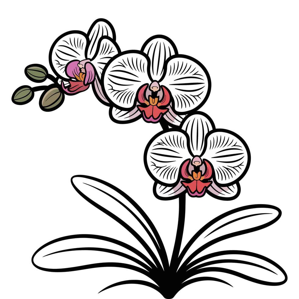 An orchid with two flowers on a white background vector