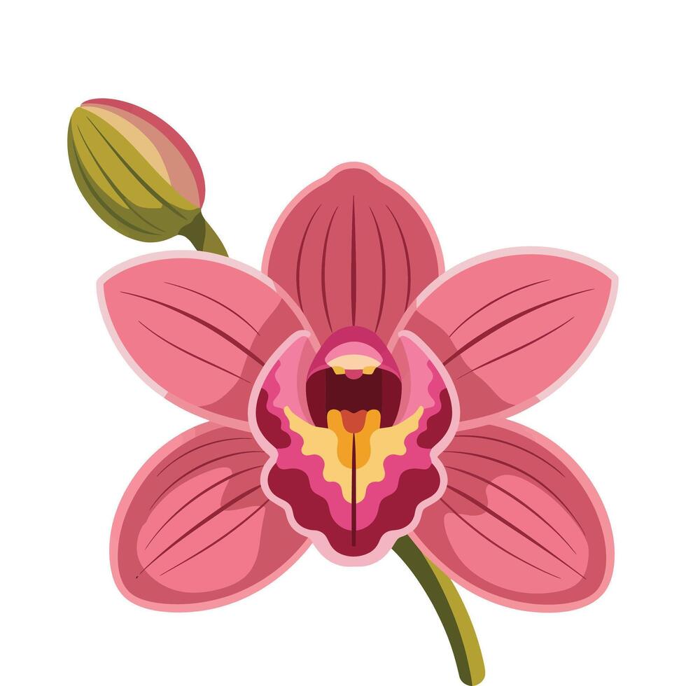 A pink orchid with a green stem and a yellow center vector