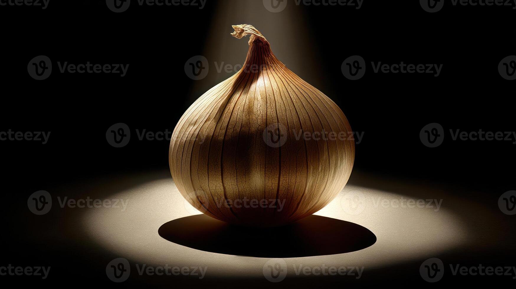 A single onion illuminated against a dark background. photo