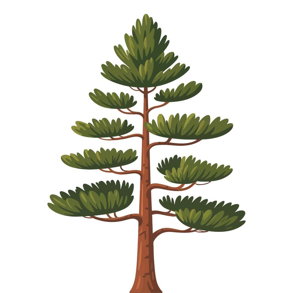 Pine tree illustration isolated on white background vector