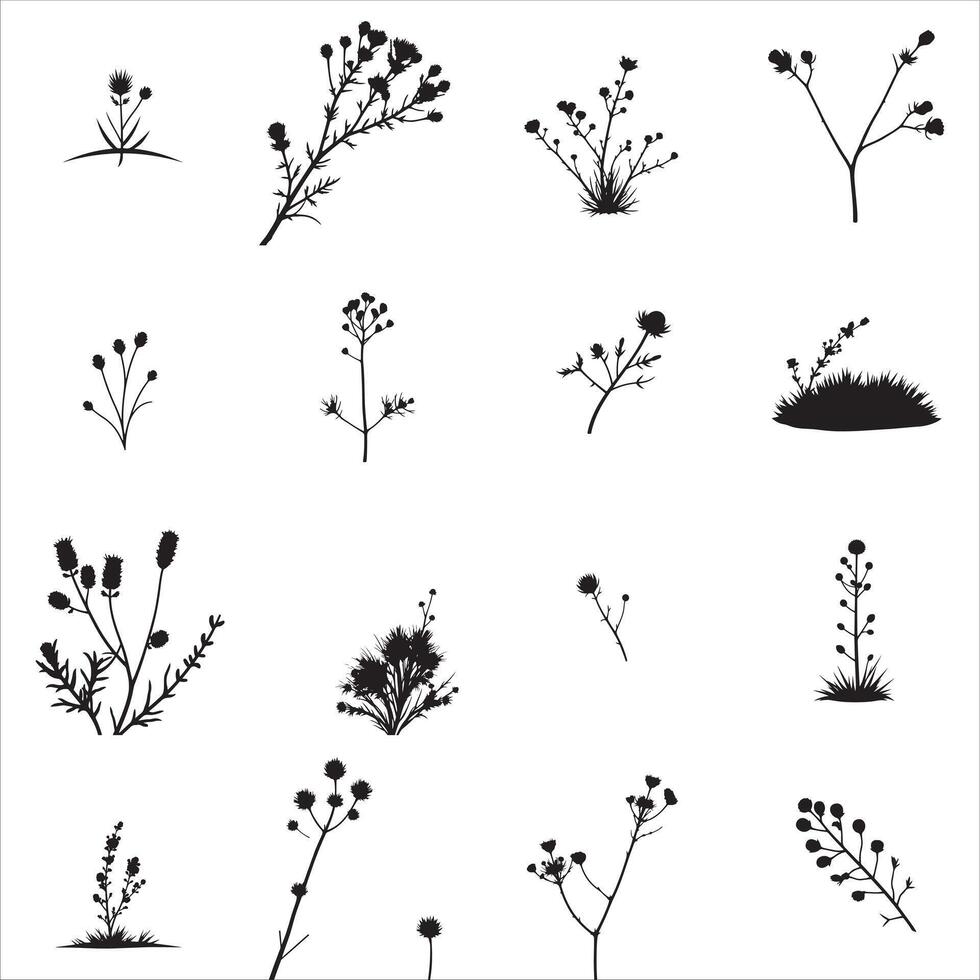 Silhouettes of plants and flowers on a white background vector