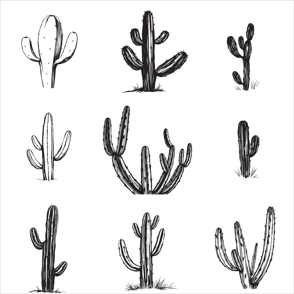 Hand drawn cactus plants in various poses vector