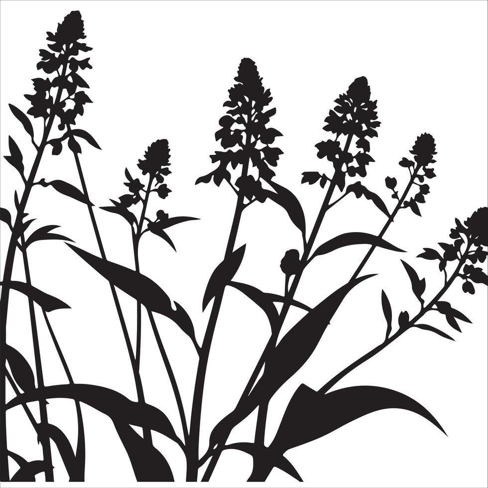 Black and white silhouette of wildflowers vector