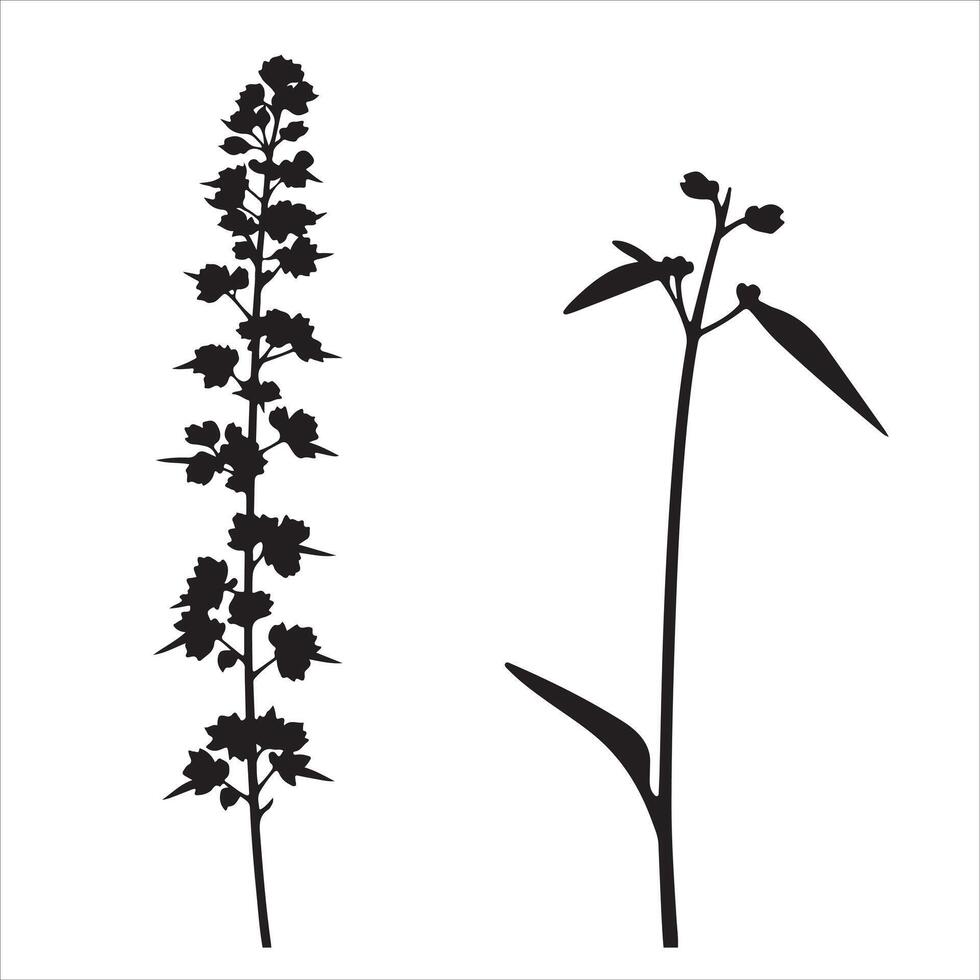 Black and white silhouette of a plant vector