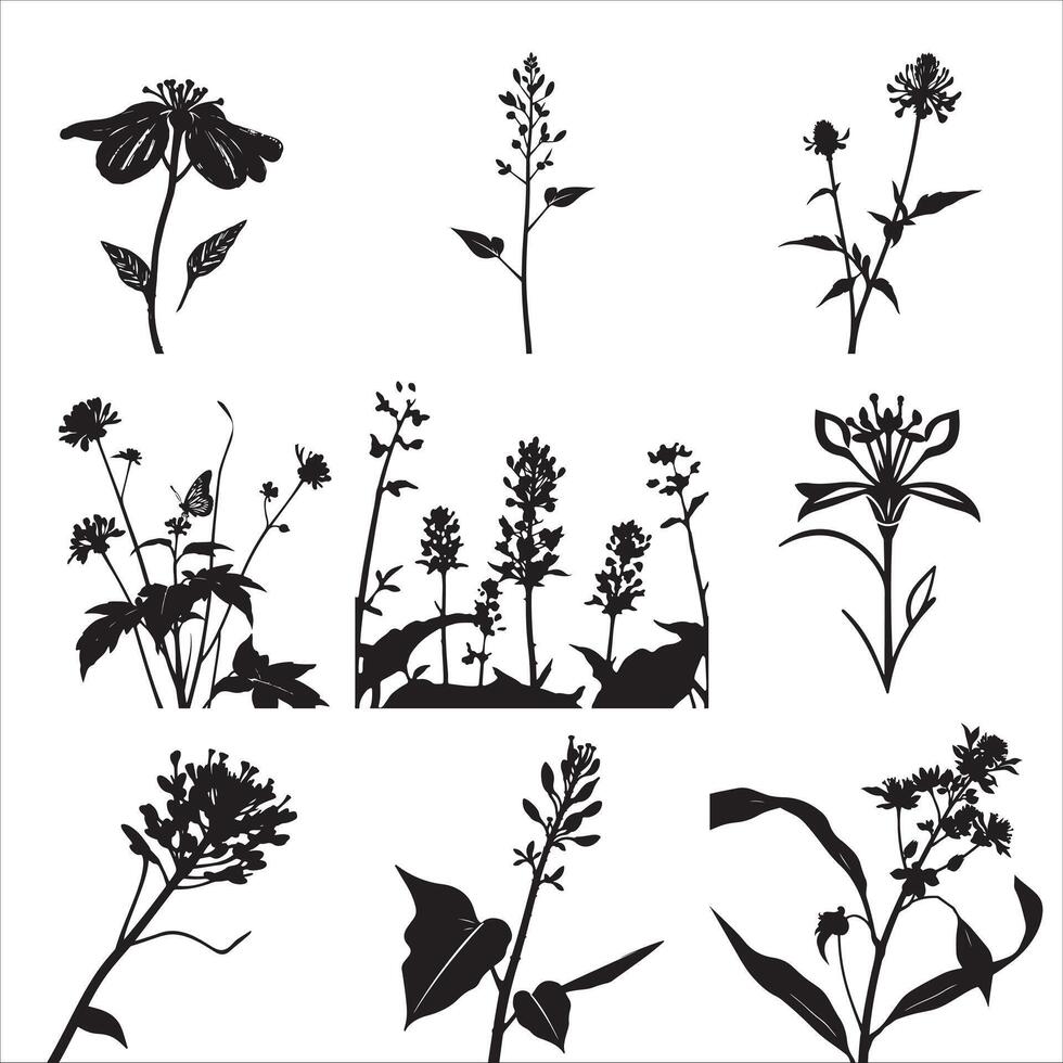 Wild flowers silhouettes vector