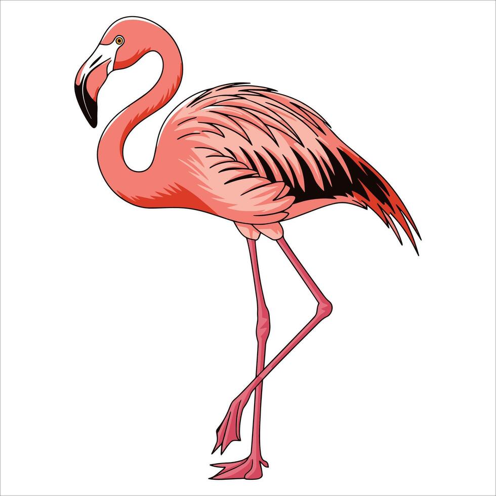 Flamingo flat art, lovely pink bird. Ideal for vacation, pool party, and wildlife graphics. vector