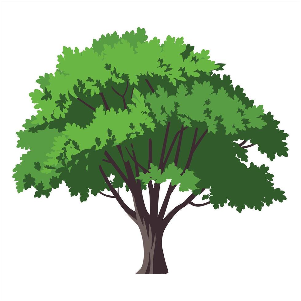Lush green ash tree with deciduous foliage in format. Ideal for environmental graphics, woodland landscapes, and botanical study illustrations. vector
