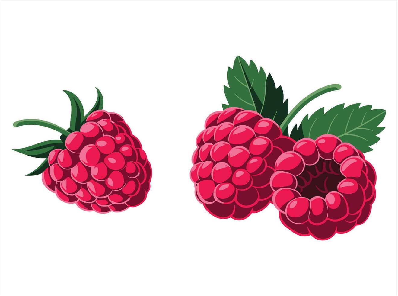 Sweet red raspberry in format. Healthy snack and summer fruit concept art. vector