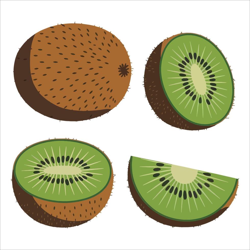 Kiwi fruit , whole and sliced. For smoothie labels, diet plans, and fresh produce art. vector