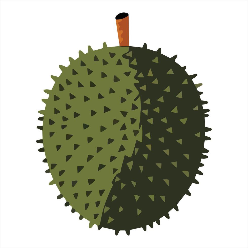 Whole durian fruit illustration isolated on white. Detailed tropical fruit graphic perfect for food markets and exotic ingredient visuals vector