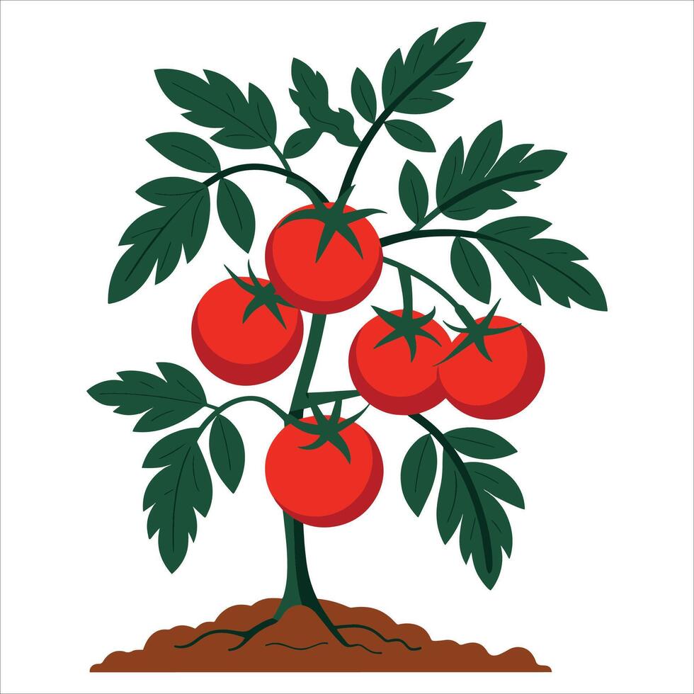 Tomato icon in cartoon style. Fresh produce illustration for cooking, farming, and healthy food concepts. vector
