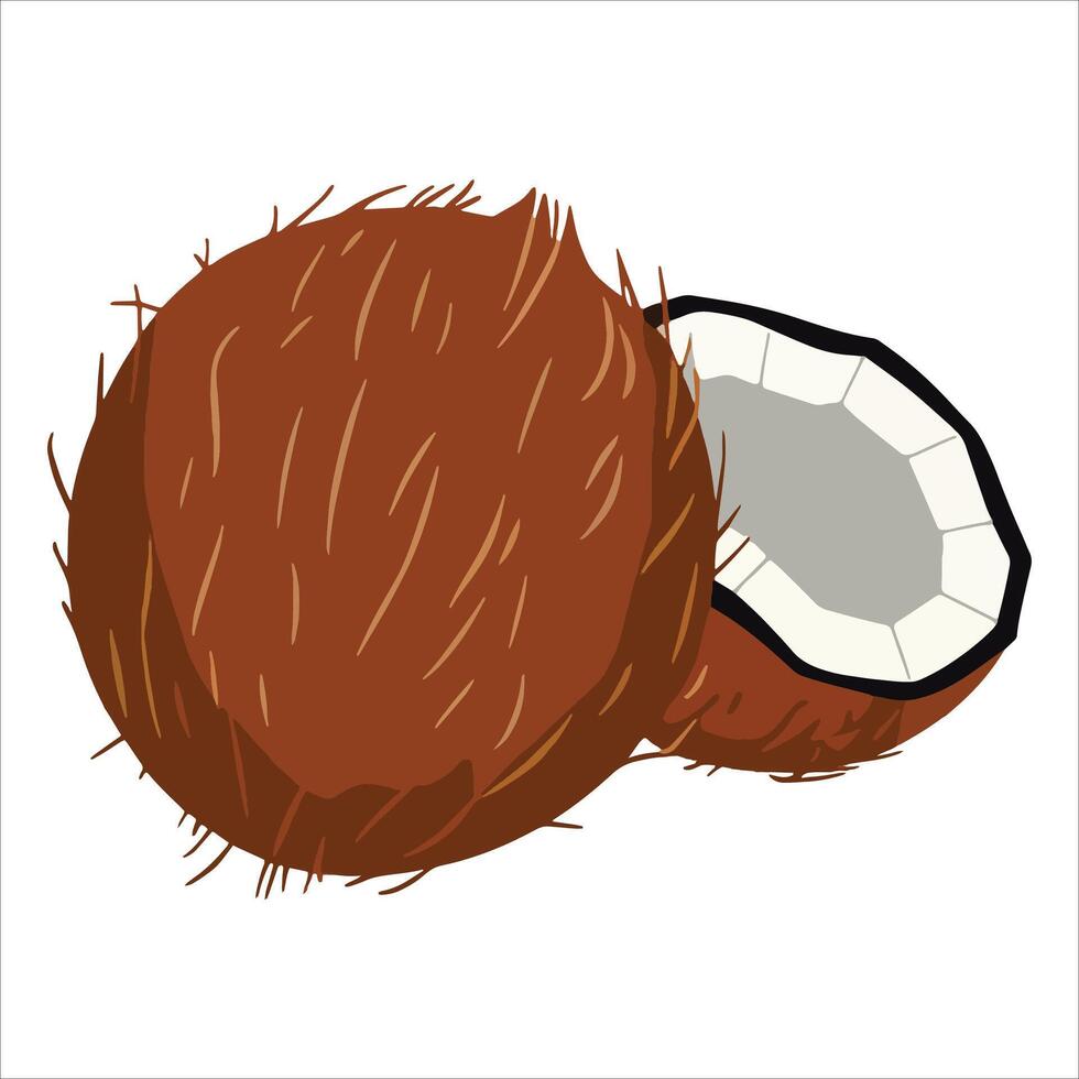 Whole coconut with textured shell paired with fresh half cut view. Ideal for beverage labels, vegan recipe books, and tropical vacation themed graphics. vector