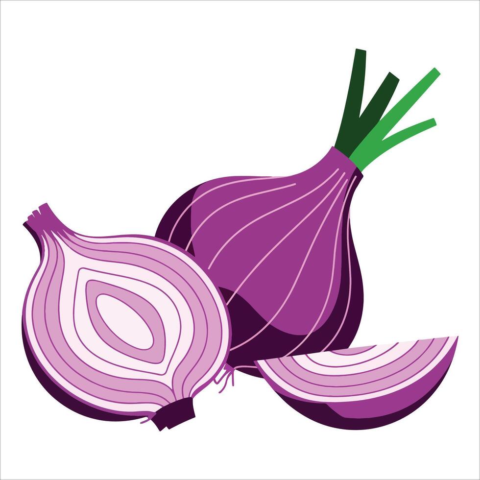 Red onion isolated on white. Clean illustration for recipes, food blogs, and culinary graphics. vector