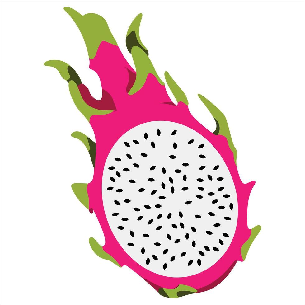 Vibrant red and green dragon fruit with spiky texture, isolated on white background. Perfect for healthy food concepts, exotic fruits, and tropical themes in illustration. vector