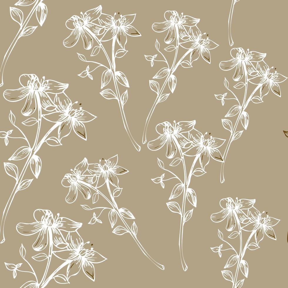 Field medical herb flowers ink seamless pattern. Hand drawn floral background with Saint John Wort blooming elements. Romantic botanical repeated clipart for textile, fabric design. White beige vector