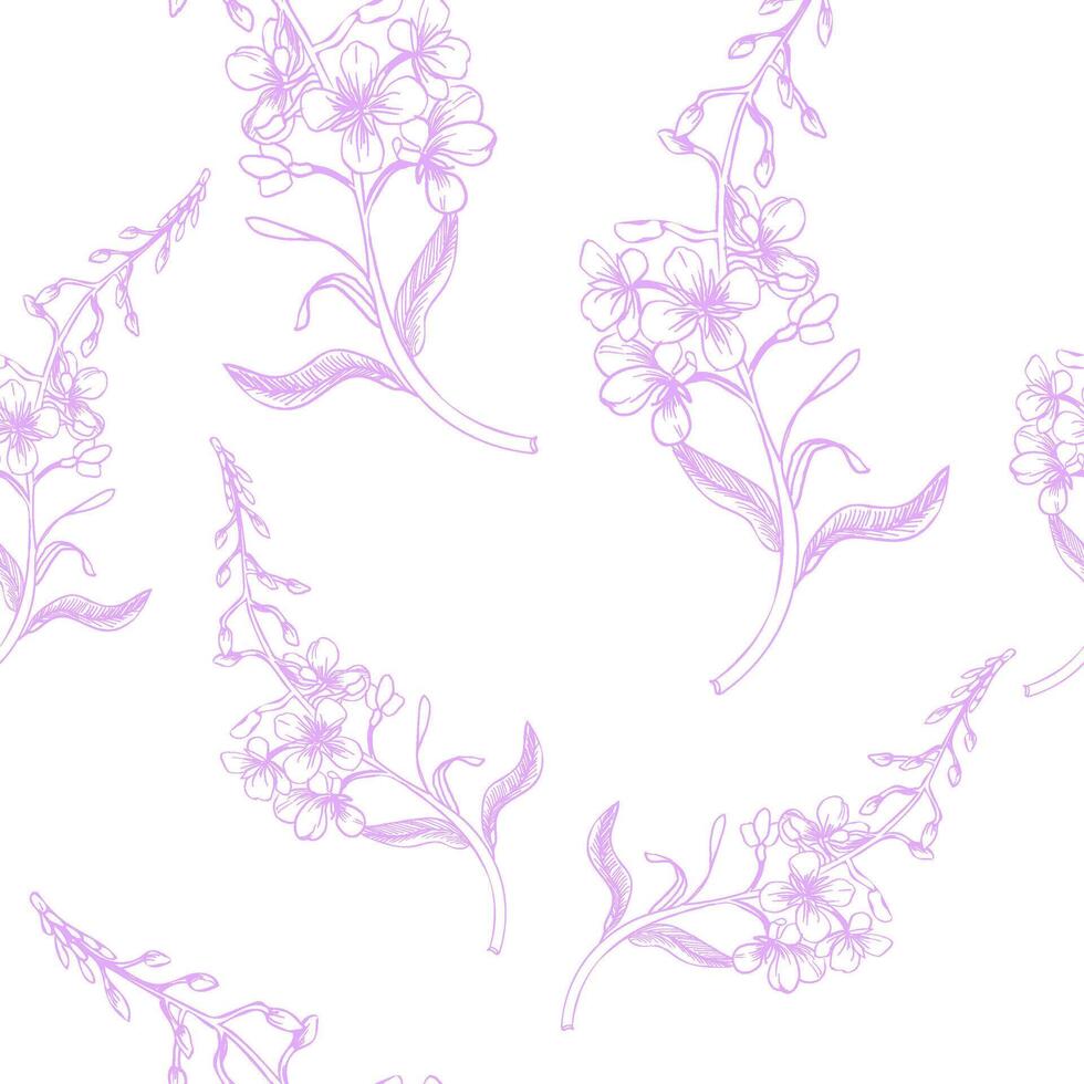 Medical herb flowers seamless pattern with filed ivan tea flowers illustration. Lilac engraving background with floral elements, elegant clipart for packing,wedding textile, fabric design vector