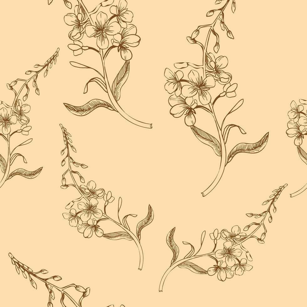 Medical herb flowers seamless pattern with filed ivan tea flowers illustration. Hand drawn engraving background with floral elements, elegant clipart for packing,wedding textile, fabric design vector