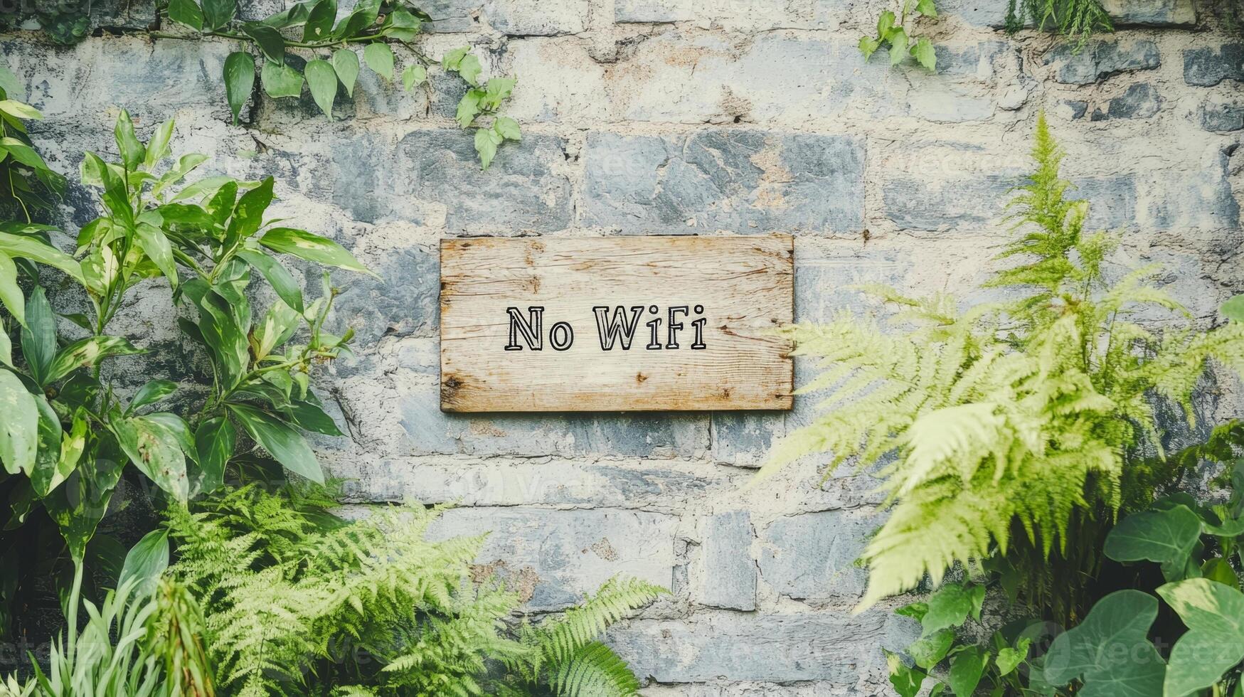 A vintage stone wall displays the words No Wifi, surrounded by vibrant plants, creating a serene escape for relaxation photo
