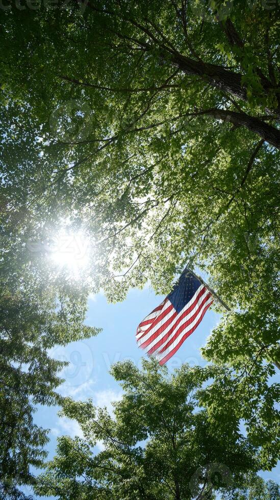 The American flag flutters among trees, sunlight filtering through leaves in a serene summer scene photo