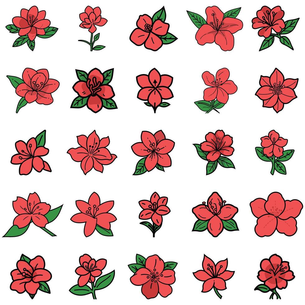 Collection of TwentyFour HandDrawn Red Rhododendron Flowers with Green Leaves on White Background vector